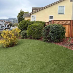 Bush Trimming by Stulpin's  Lawn Service reviewed on January 1, 2026