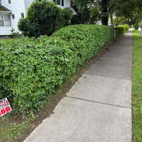 Bush Trimming by lawnboss reviewed on August 21, 2025