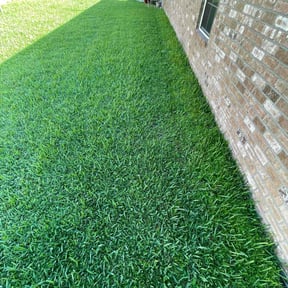 grass maintenance by K&T Landscape reviewed on April 5, 2024