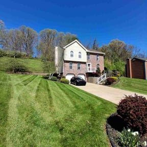 turf maintenance by A1 LANDSCAPING reviewed on July 23, 2025