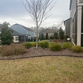 Bush Trimming by amazing r&r landscaping reviewed on August 19, 2025