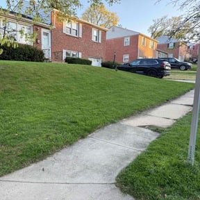 yard care by Lawn Hope reviewed on August 17, 2025