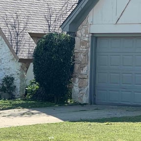 Bush Trimming by Cris Cooper reviewed on December 17, 2025