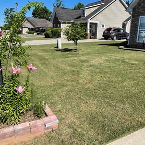 gardening service by Fairfax Lawn Maintenance reviewed on August 20, 2025