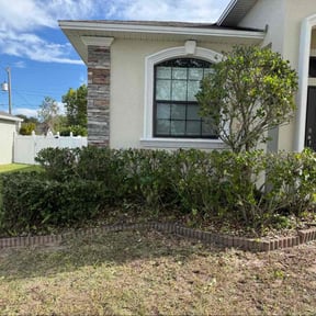 Bush Trimming by SC Organic Landscapes reviewed on December 14, 2025