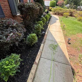 Bush Trimming by Paul Landis Dba Pro Turf Landscape and Lawn care reviewed on August 20, 2025