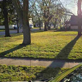 Leaf Removal by EDGED TO PERFECTION LLC reviewed on June 26, 2026