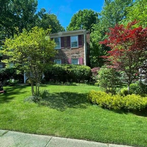 yard care by Eddie’s lawn maintenance reviewed on August 16, 2025