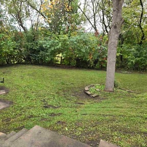 Leaf Removal by B&amp;B Lawn and Landscape reviewed on November 9, 2025