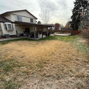 Leaf Removal by Southern Legacy Lawn Care reviewed on November 9, 2025