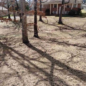 Leaf Removal by Jeff Sidener reviewed on September 7, 2025