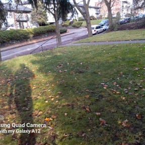 Leaf Removal by Sedlak  Landscaping  reviewed on September 17, 2025