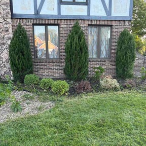 Bush Trimming by Nieves lawn care reviewed on August 21, 2026