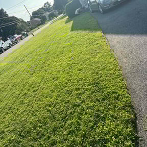 gardening service by Larkin Lawn Care reviewed on November 20, 2025