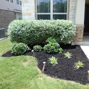 Bush Trimming by LIGHTNING LANDSCAPING & LAND MANAGEMENT reviewed on August 19, 2025