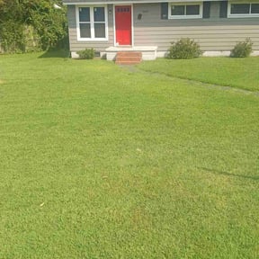 lawn care services by Sal's Landscape & Tree Service reviewed on November 9, 2017
