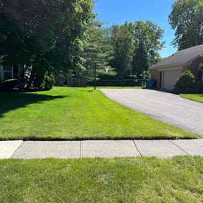 gardening service by vets lawn care reviewed on August 19, 2025