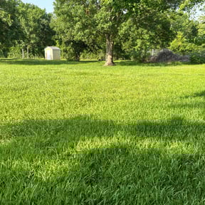 landscape maintenance by Choppin' Bladez lawncare reviewed on August 20, 2025