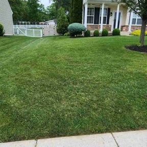 yard work by A Simple Mowing reviewed on August 17, 2025