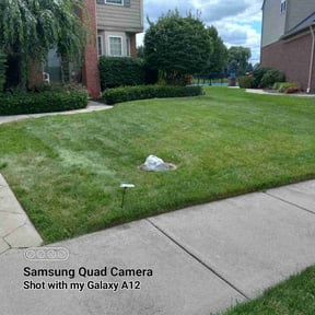 yard maintenance by CB lawn maintenance reviewed on August 21, 2025