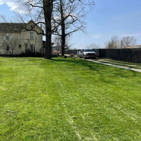 turf care by Isaiah's Custom Cutz reviewed on August 19, 2025