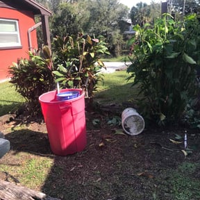 Bush Trimming by Pro Cut Lawns LLC reviewed on August 19, 2025