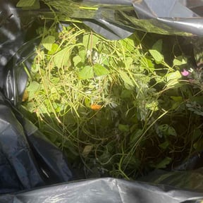 Flower Bed Weeding by Hendo cuts reviewed on August 18, 2026