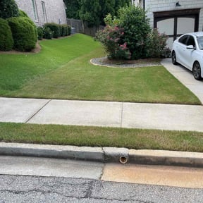 landscaping by Trash Cupid Rental reviewed on August 20, 2025