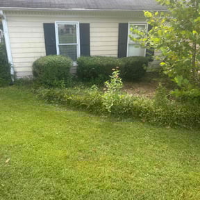 Bush Trimming by El Coqui Lawn Care reviewed on November 7, 2025