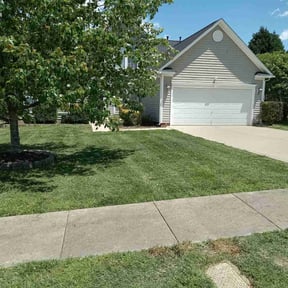 yard care by Helping Hands Lawncare Service reviewed on August 20, 2025