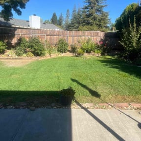 gardening service by Lopez Personal Construction and Lawn Service&#039;s reviewed on August 15, 2025
