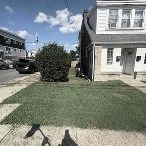 Bush Trimming by Picasso Landscaping reviewed on October 19, 2025