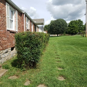 Bush Trimming by St Charles Services reviewed on August 16, 2025