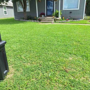 Front yard only by CadeAndKids LLC reviewed on August 15, 2025