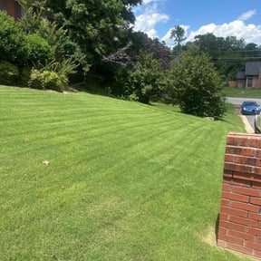 landscape maintenance by E-MACULATE LAWN CARE LLC reviewed on August 18, 2025