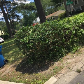 Bush Trimming by House of Beauty Lawn Care reviewed on August 17, 2025