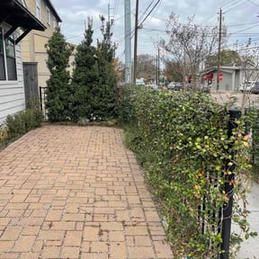 Bush Trimming by Bowkley Roofing &amp; Handyman reviewed on January 19, 2026