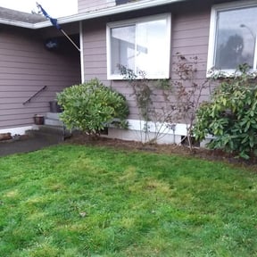 Flower Bed Weeding by Sharpy Yard Care Service reviewed on August 15, 2025