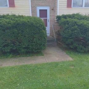 Bush Trimming by Integrity Lawns LLC reviewed on July 8, 2025