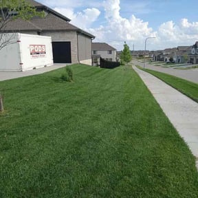 landscaping services by Azuloutdoorservices@gmail.com reviewed on August 17, 2025