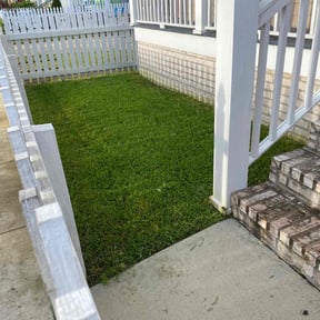 landscaping by Elston Lawn Care reviewed on August 21, 2025