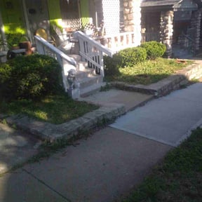Bush Trimming by K V Lawncare reviewed on August 15, 2025
