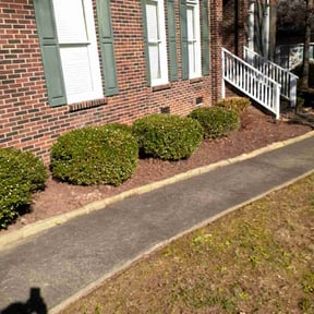 Leaf Removal by Trip reviewed on June 20, 2024