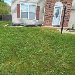 Flower Bed Weeding by House of details ink reviewed on August 15, 2025