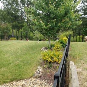 Bush Trimming by Blue Diamond Cleaning Services reviewed on November 27, 2025