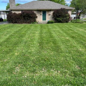 lawn care services by Jack of all Trades Multiservices reviewed on November 9, 2017