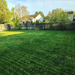 landscaping services by STACEY&#039;S LAWN MAINTENANCE &amp;
PRESSURE WASHING SERVICES LLC reviewed on August 20, 2025