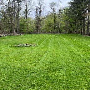 gardening service by Tony's lawn services/Plowing reviewed on August 13, 2025