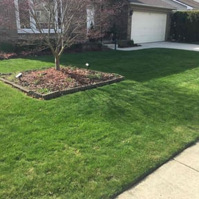 yard maintenance by jadeandarmani reviewed on August 19, 2025