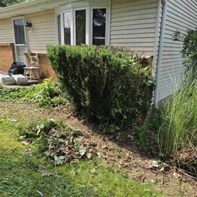 Bush Trimming by Big Rocks Landscaping & Demolition reviewed on August 18, 2025